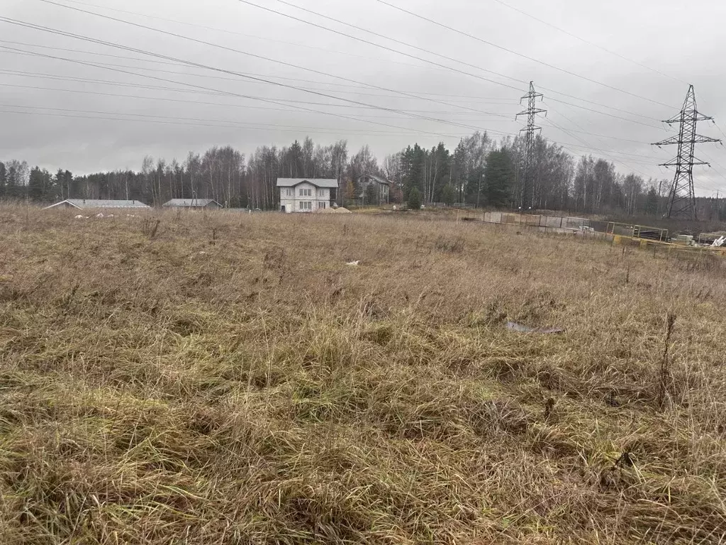 Участок в Ленинградская область, Всеволожский район, Колтушское ... - Фото 0