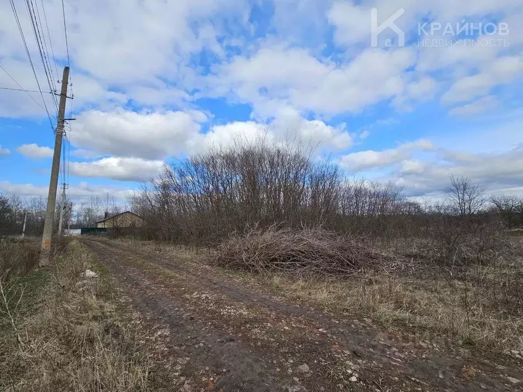 Участок в Воронежская область, с. Новая Усмань ул. Октябрьская (19.6 ... - Фото 1