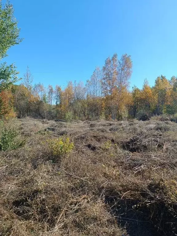 Участок 12,9 сот. (ИЖС) - Фото 1