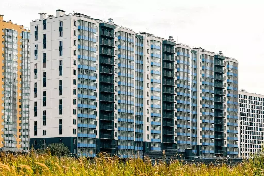 1-комнатная квартира: Мурино, Графская улица, 6к4 (35.4 м) - Фото 2