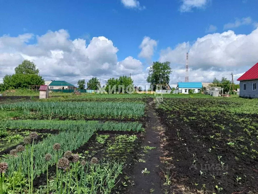 Купить Участок В Сокуре Новосибирской Области