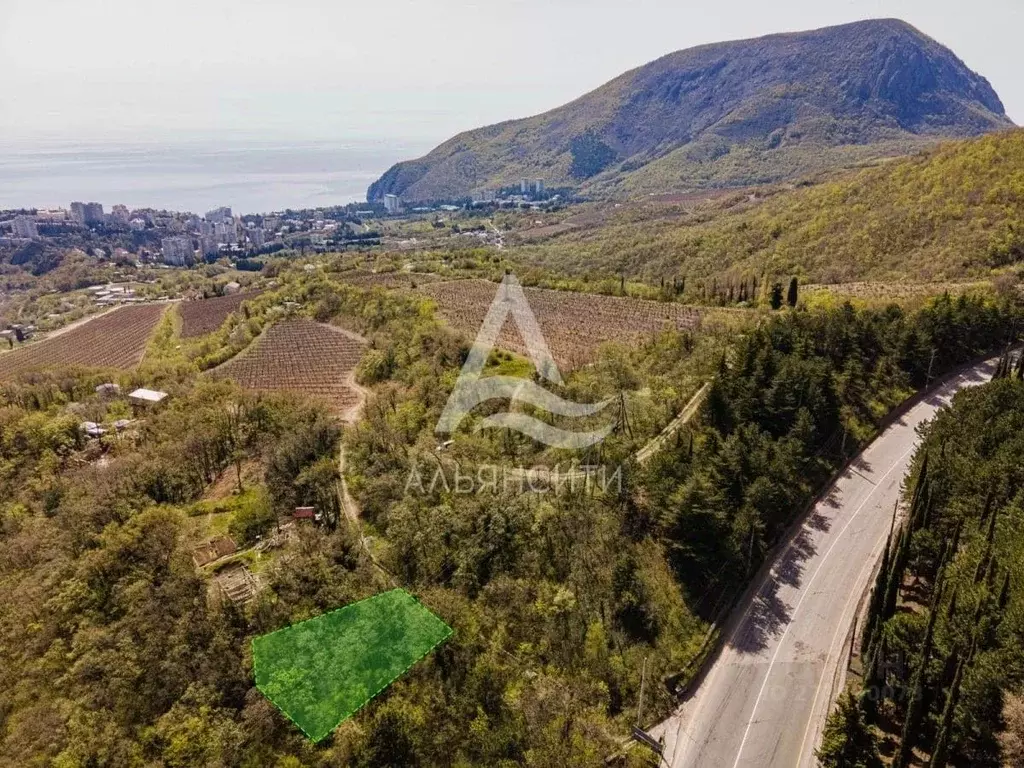 Участок в Крым, Алушта муниципальный округ, Партенит пгт  (4.01 сот.) - Фото 2