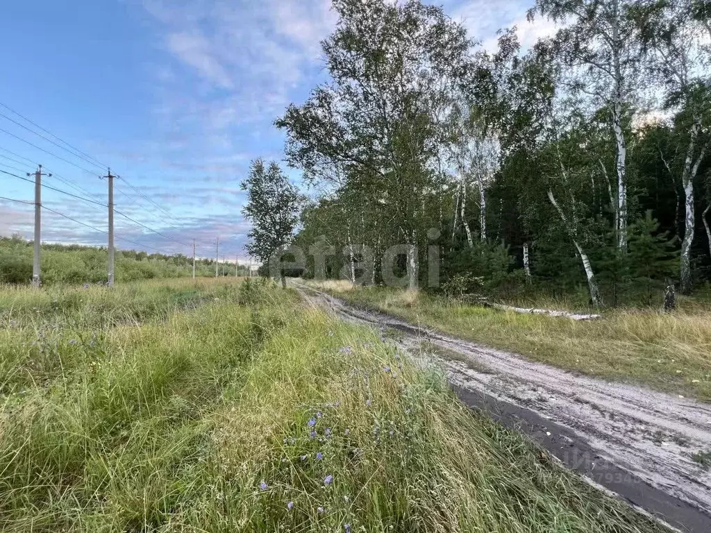 Участок в Курганская область, Курган пос. Теплый Стан, ул. 4-я ... - Фото 1