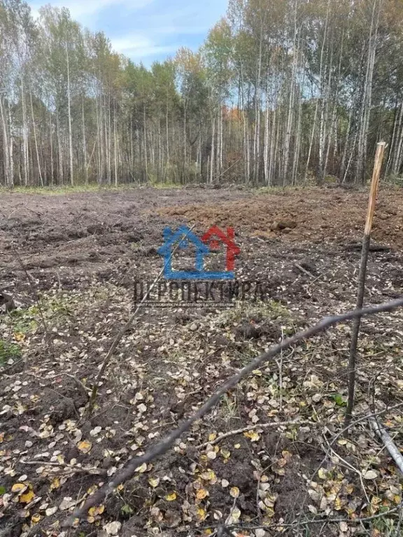 Участок в Тюменская область, Тобольск Усадьба мкр,  (10.0 сот.) - Фото 0