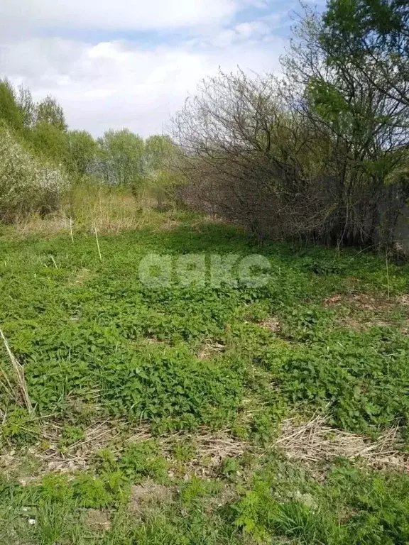 Участок в Московская область, Воскресенск городской округ, д. ... - Фото 2