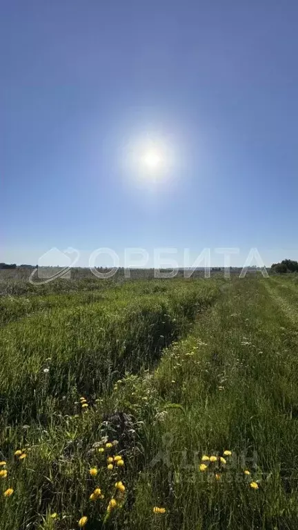 Участок в Тюменская область, Тюменский район, с. Салаирка  (8.14 сот.) - Фото 0