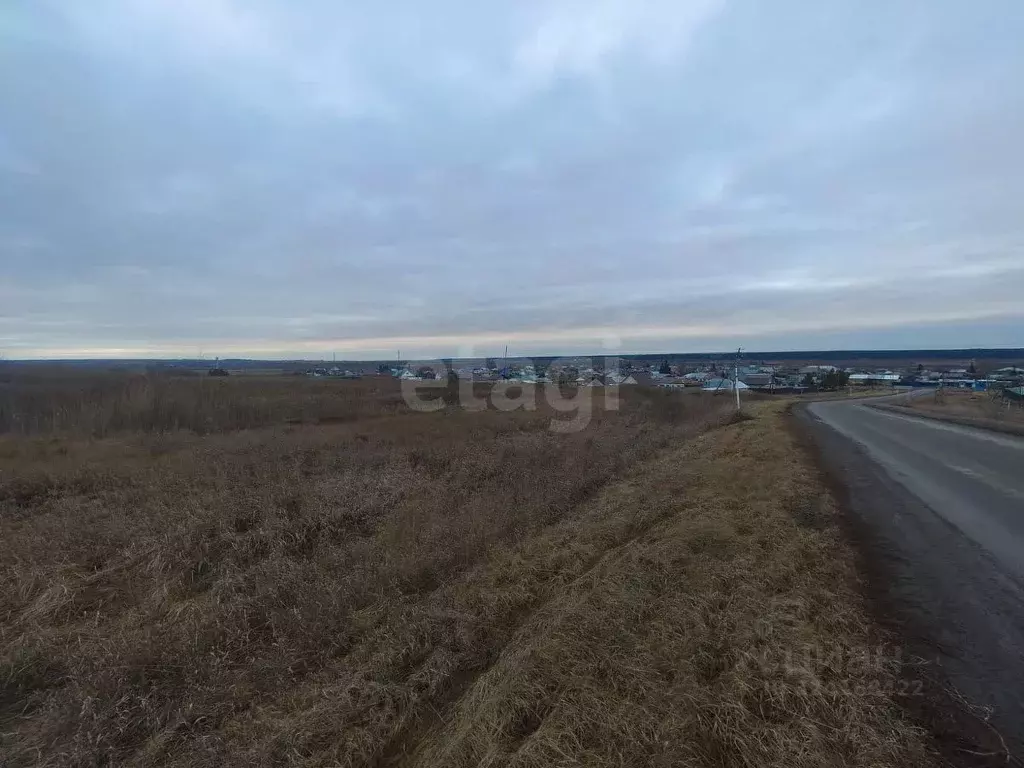 Участок в Курганская область, Шадринский муниципальный округ, с. ... - Фото 2