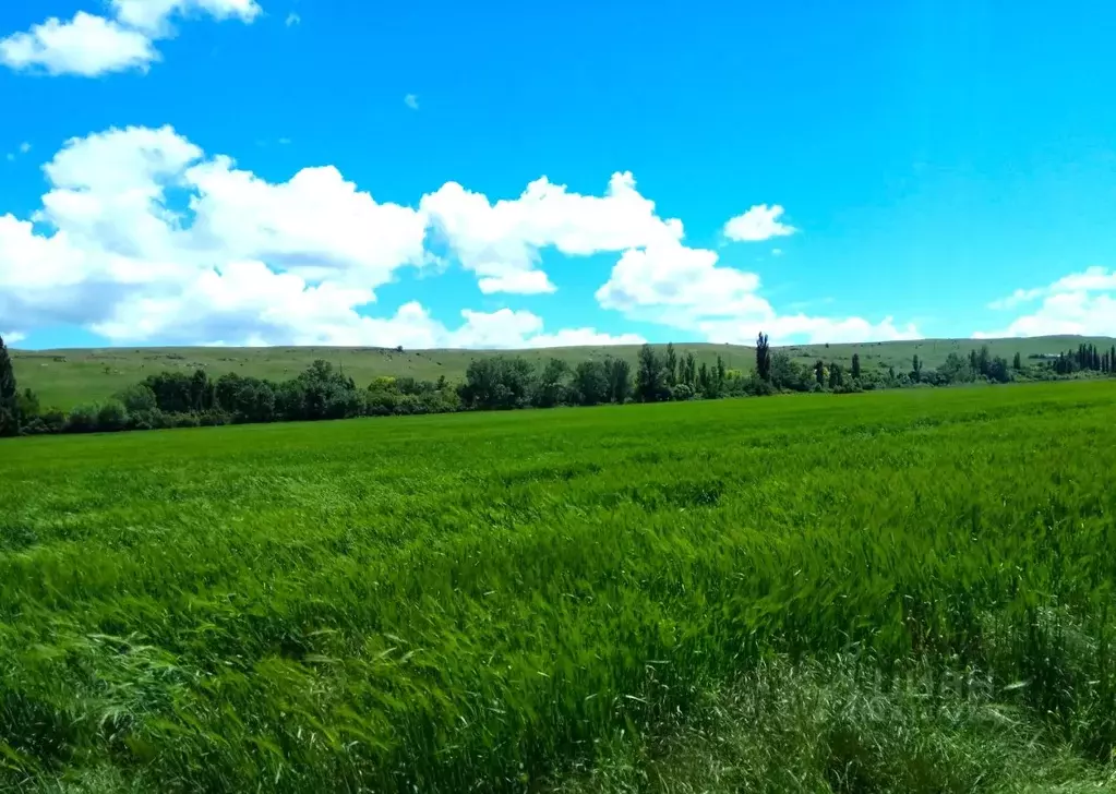 Участок в Ростовская область, Ростов-на-Дону просп. Шолохова (74000.0 ... - Фото 0