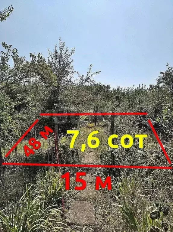 Участок в Ставропольский край, Ставрополь Виктория садовое ... - Фото 2