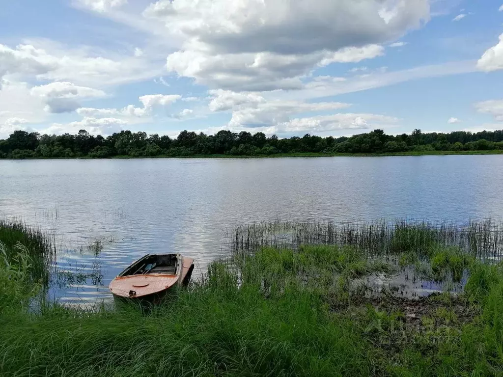 Участок в Ленинградская область, Лужский район, Осьминское с/пос, д. ... - Фото 1