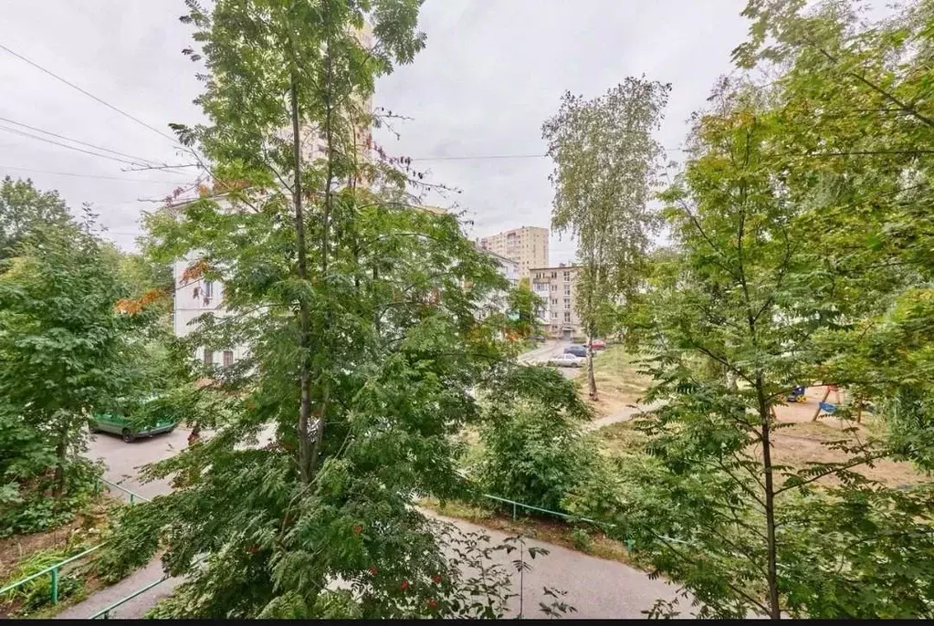 1-к кв. Пермский край, Пермь ул. Куйбышева, 51 (32.6 м) - Фото 1