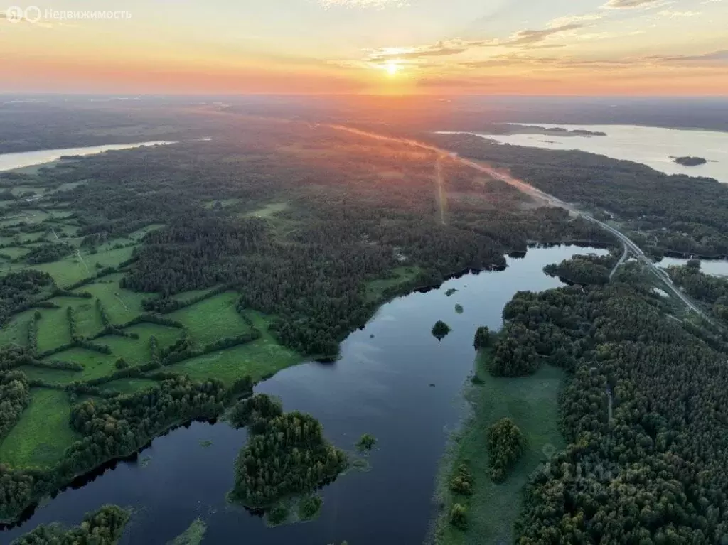 Участок в посёлок Ромашки, Береговая улица (11.53 м) - Фото 2
