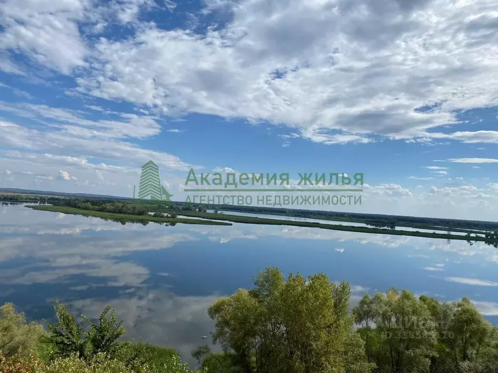 Участок в Саратовская область, Воскресенский район, Синодское ... - Фото 0
