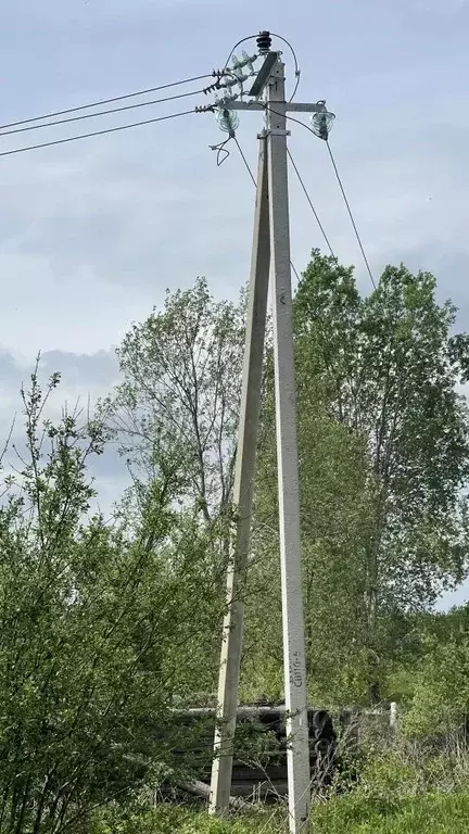 Участок в Новгородская область, Пестовский муниципальный округ, д. ... - Фото 2