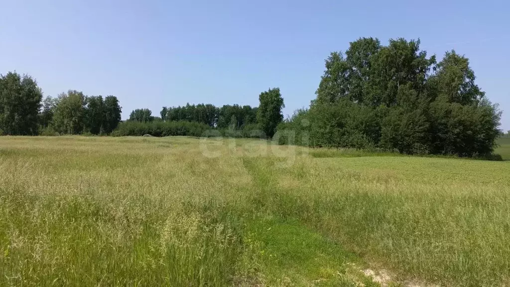 Участок в Новосибирская область, Новосибирск  (1140.0 сот.) - Фото 1