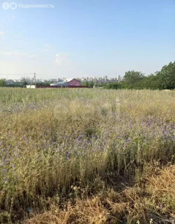 Участок в посёлок Дубовое, Манговая улица (9.19 м) - Фото 1