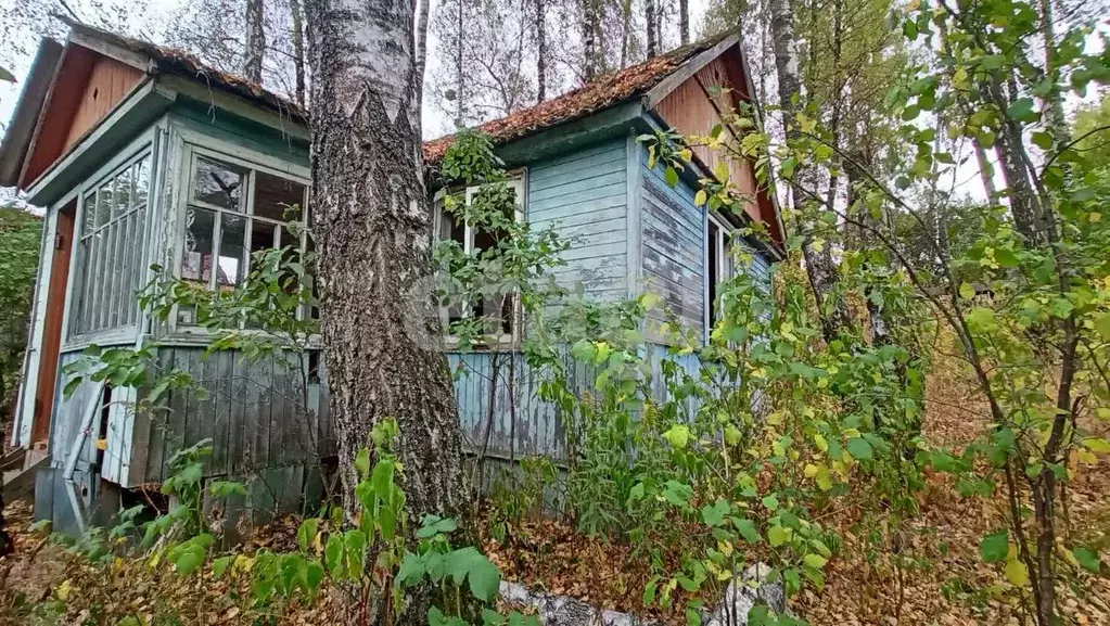 Участок в Брянская область, Брянск Дружба-2 садоводческое объединение, ... - Фото 2