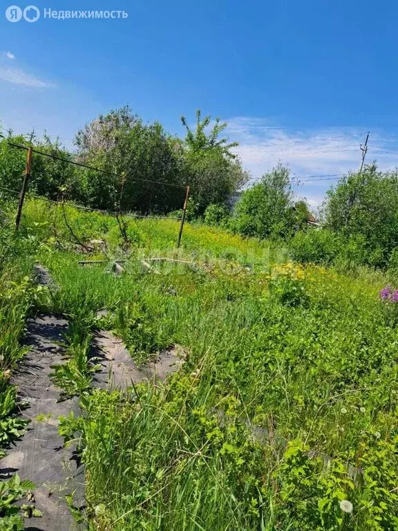 Участок в Барнаул, улица Попова (4.8 м) - Фото 0