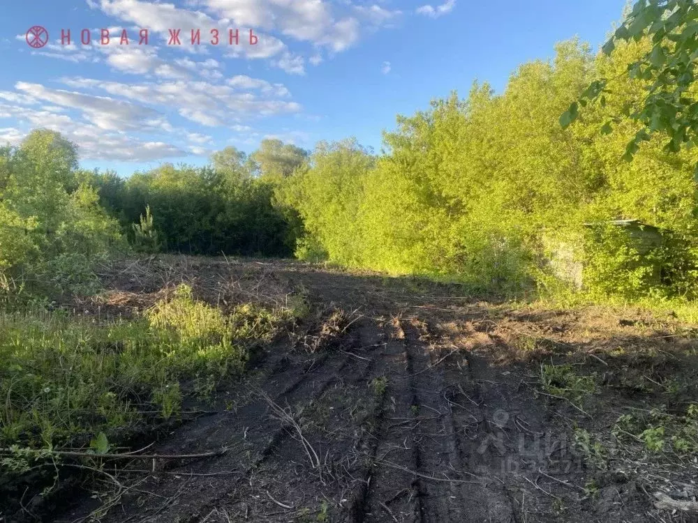 Участок в Самарская область, Самара Березовая Грива-1 ДНТ,  (13.0 ... - Фото 1