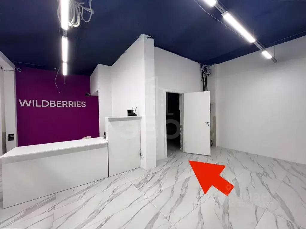 Помещение свободного назначения в Санкт-Петербург Московский просп., ... - Фото 1