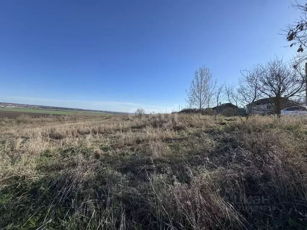 Участок в Воронежская область, Рамонский район, Русскогвоздевское ... - Фото 1