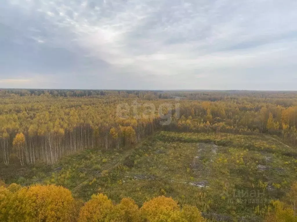 Участок в Костромская область, Кострома Волгореченское ш. (524.0 сот.) - Фото 0