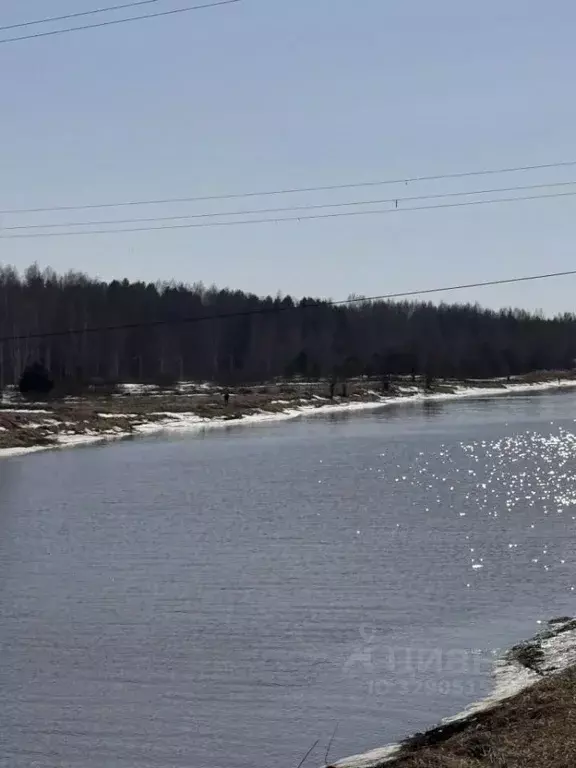 Участок в Костромская область, Красносельский район, Сидоровское ... - Фото 1