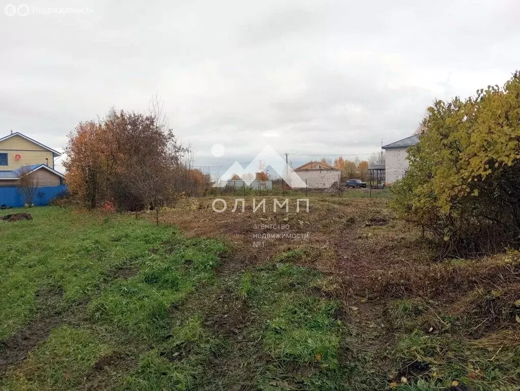 Участок в Вологодский муниципальный округ, деревня Маурино (Подлесный ... - Фото 2