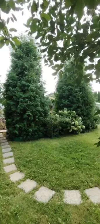 Дом в Самарская область, Тольятти Березка СНТ, проезд 5-й, 199 (22 м) - Фото 1