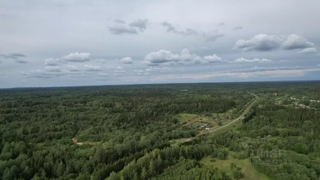 Участок в Тверская область, Торопецкий муниципальный округ, д. ... - Фото 1