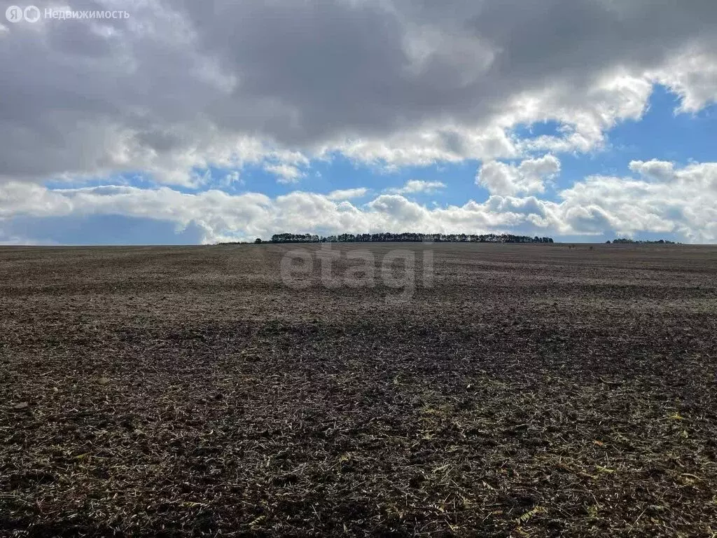Участок в Перовское сельское поселение, село Константиновка (125.6 м) - Фото 2