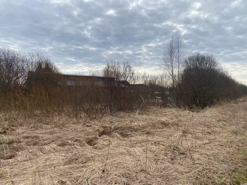 Участок в Московская область, Талдомский городской округ, с. ... - Фото 0