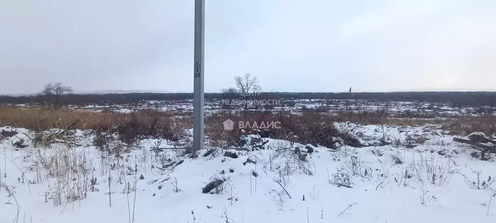 Участок в Приморский край, Арсеньев Солнечный мкр,  (10.0 сот.) - Фото 0
