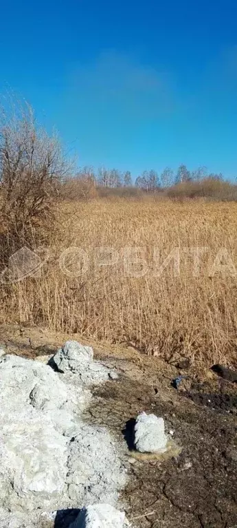 Участок в Тюменская область, Тюмень Россиянка садовое товарищество,  ... - Фото 1