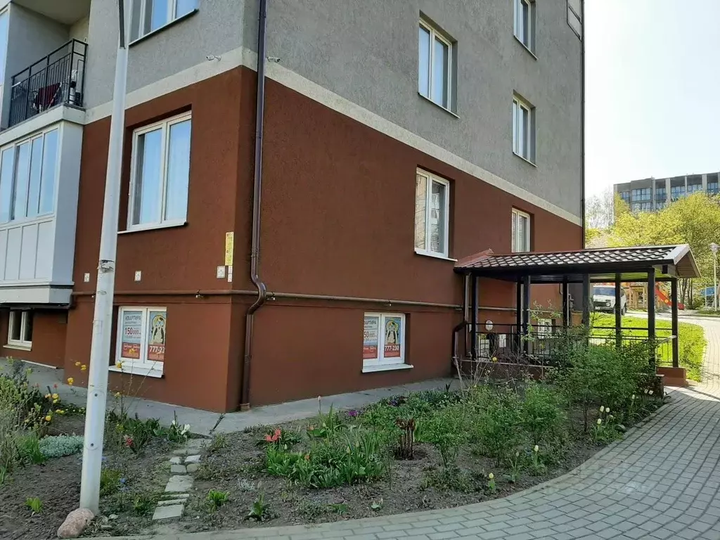 Торговая площадь в Калининградская область, Светлогорск Тихая ул., 10 ... - Фото 1