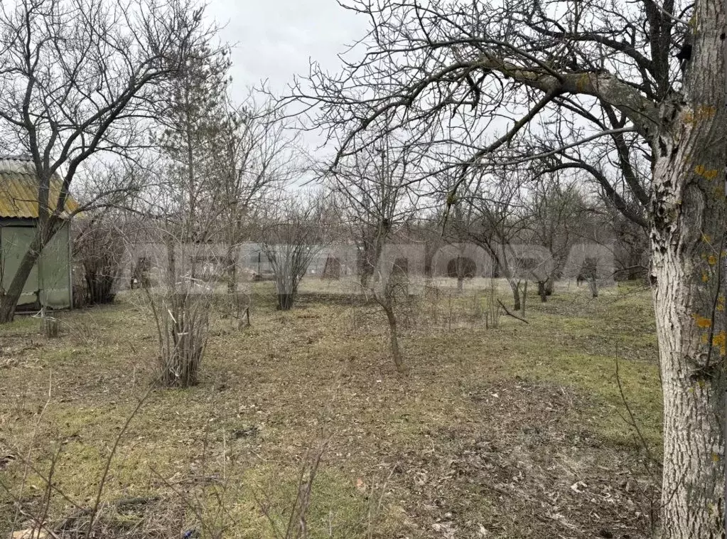 Участок в Ростовская область, Новочеркасск № 12 садовое товарищество, ... - Фото 2