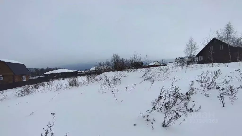 Участок в Московская область, Раменский муниципальный округ, с. ... - Фото 1