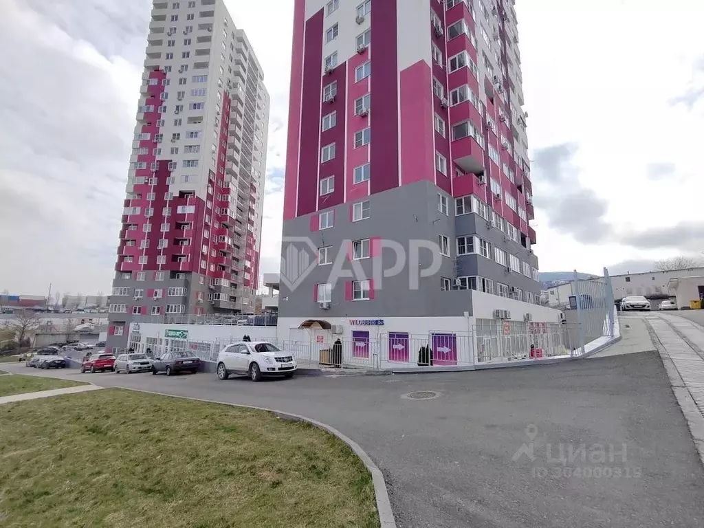 Помещение свободного назначения в Краснодарский край, Новороссийск ул. ... - Фото 1