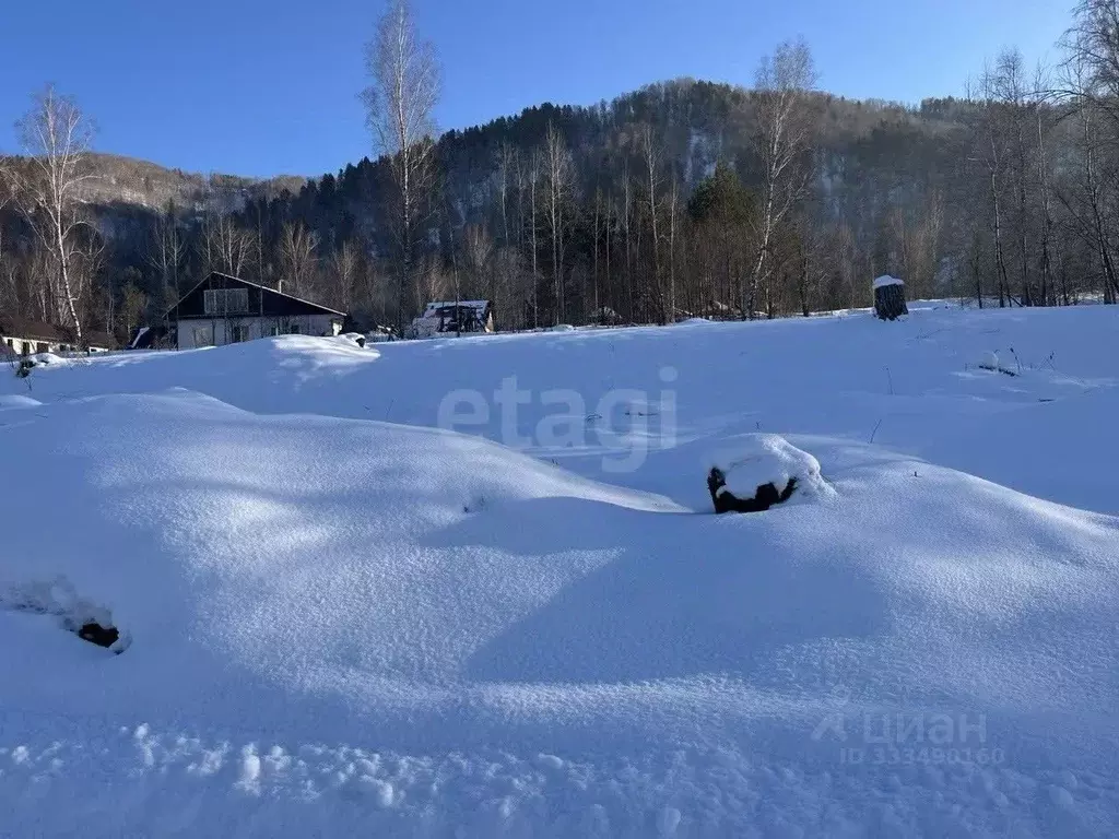 Участок в Алтай, Майминский район, Соузгинское с/пос, пос. Турбаза ... - Фото 1