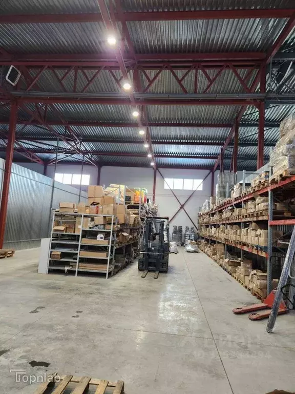 Помещение свободного назначения в Алтайский край, Барнаул просп. ... - Фото 2