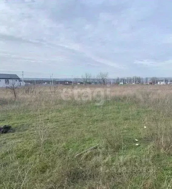 Участок в Краснодарский край, Новороссийск городской округ, ... - Фото 0