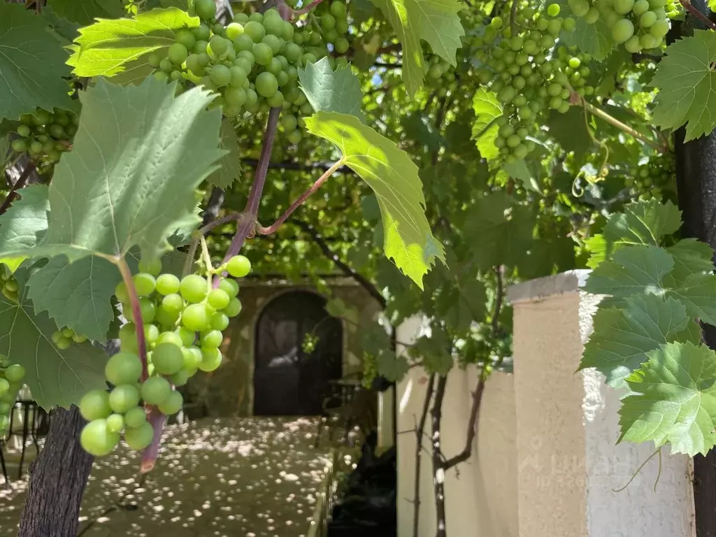 Дом в Краснодарский край, Туапсинский муниципальный округ, с. Шепси, ... - Фото 2