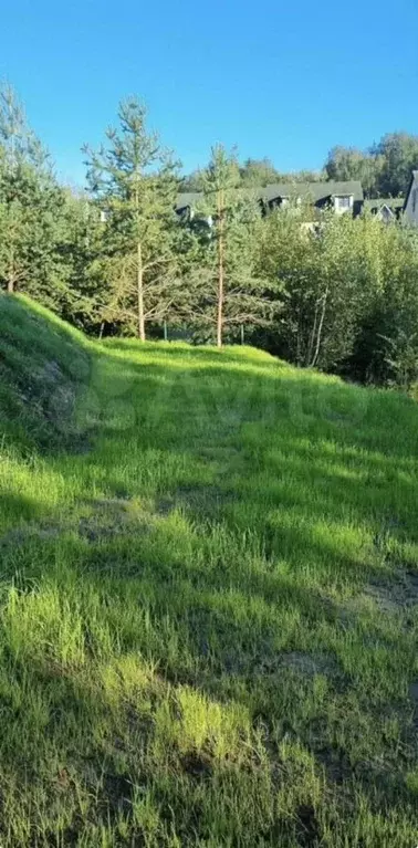 Участок в Ленинградская область, Всеволожский район, Колтушское ... - Фото 2