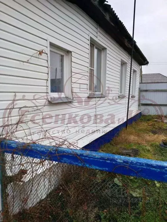Дом в Курганская область, с. Звериноголовское  (53 м) - Фото 2