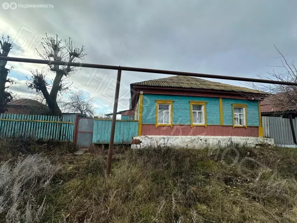 Дом в Пинеровка, улица Луначарского, 37 (49 м) - Фото 1