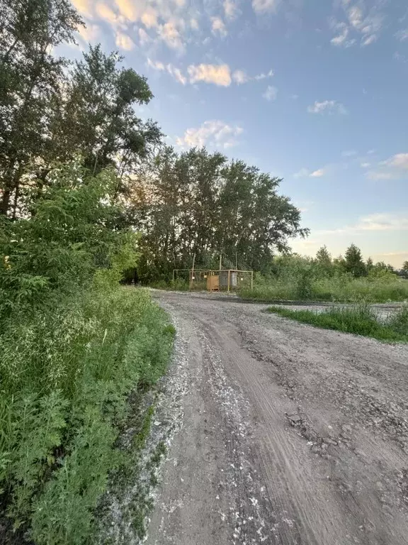 Участок в Омская область, Омский район, с. Усть-Заостровка  (12.5 ... - Фото 0