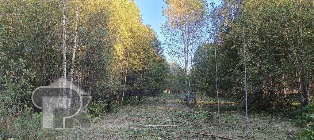 Участок в Московская область, Солнечногорск городской округ, Садовые ... - Фото 0