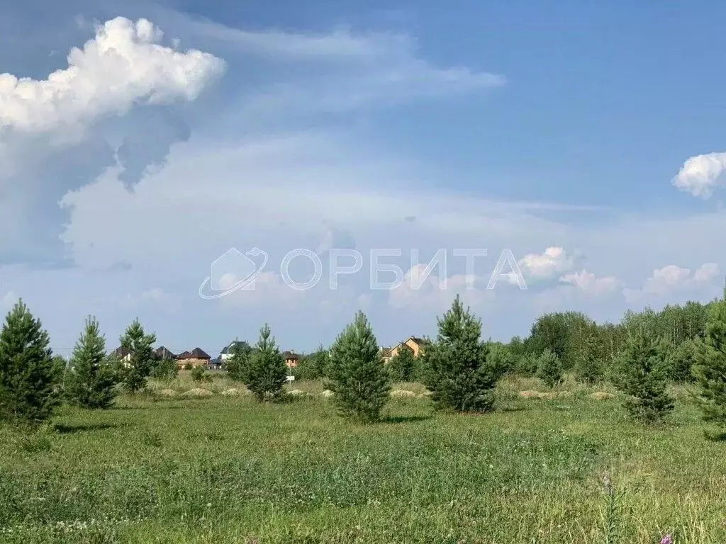 Участок в Тюменская область, Тюменский муниципальный округ, с. ... - Фото 2