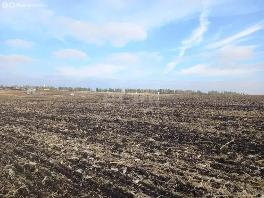 Участок в Губкин, Озёрный переулок (15 м) - Фото 2