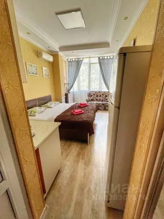 1-к кв. Краснодарский край, Сочи Курортный просп., 75к1 (22.0 м) - Фото 1